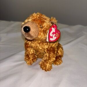 Ty Brown Bear Beanie  Sequoia Retired Plush - Gold/Brown